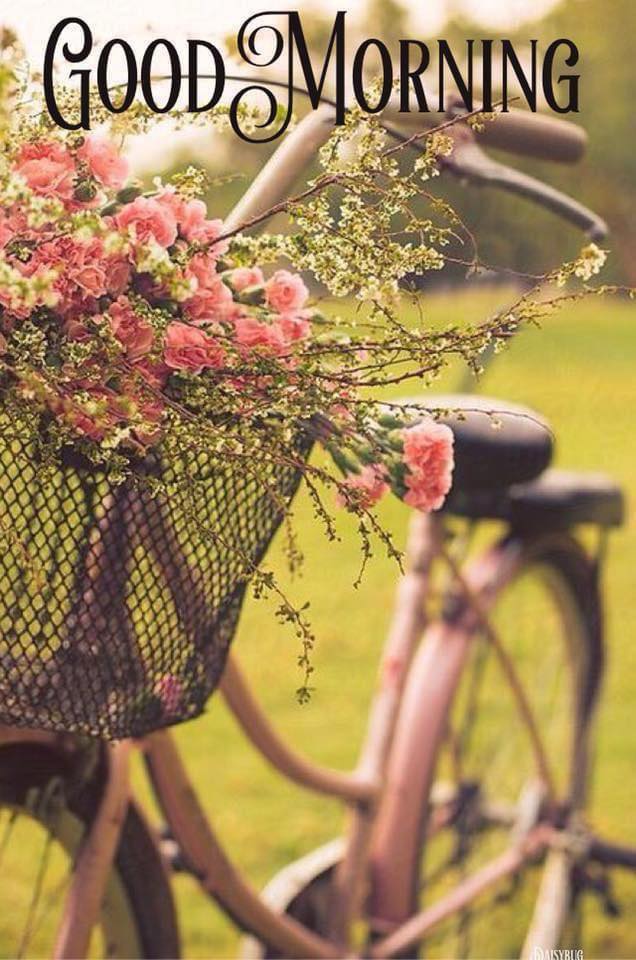 Dark Horse Antiques and Design