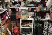 Timeless Treasures Flea Market