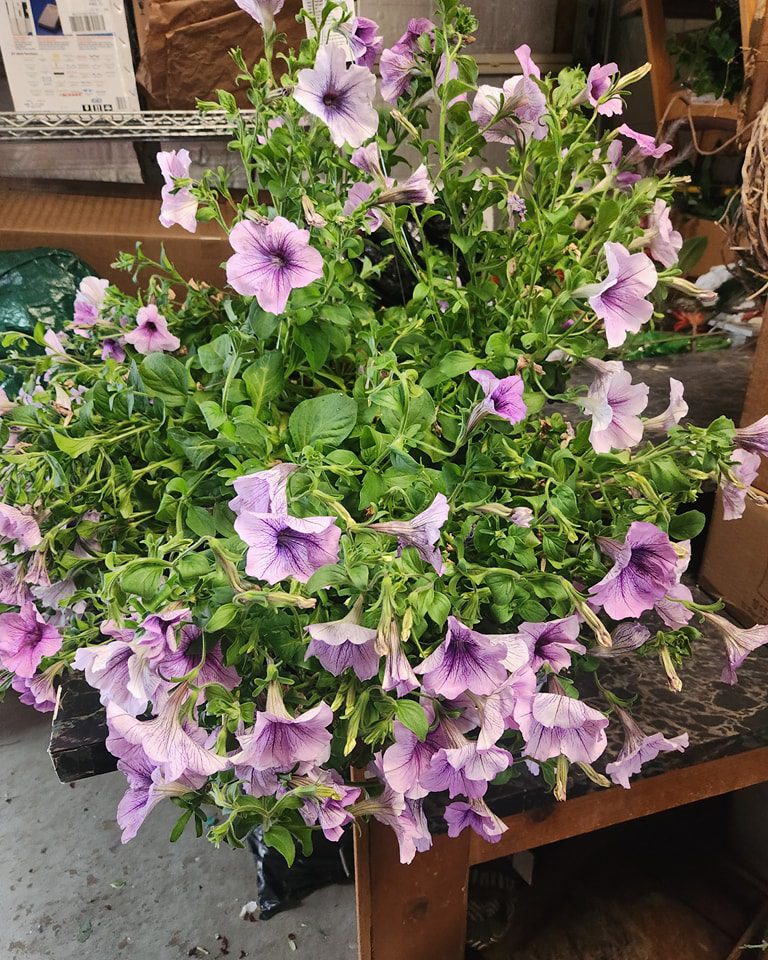 Vintage Flower Market