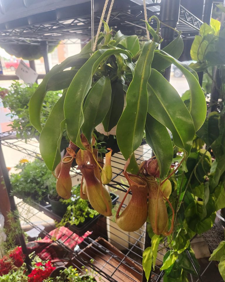 Vintage Flower Market