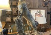 Keen Eye Antiques