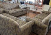 Dogwood Animal Shelter Thrift