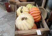 Durnell Depot Antiques & More