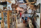 Ozark Antique Mall & Collectibles