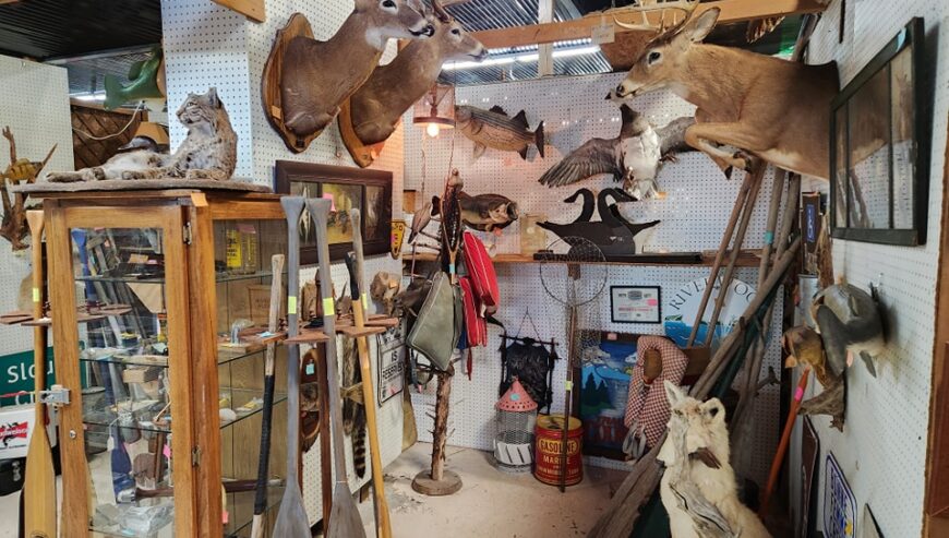Ozark Antique Mall & Collectibles