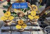 Rustic Treasures & Gifts LLC